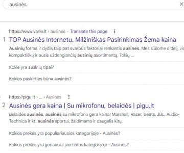 Struktūriniai duomenys ir mikro žymėjimas e-komercijoje: Kas tai ir kam yra naudojama?