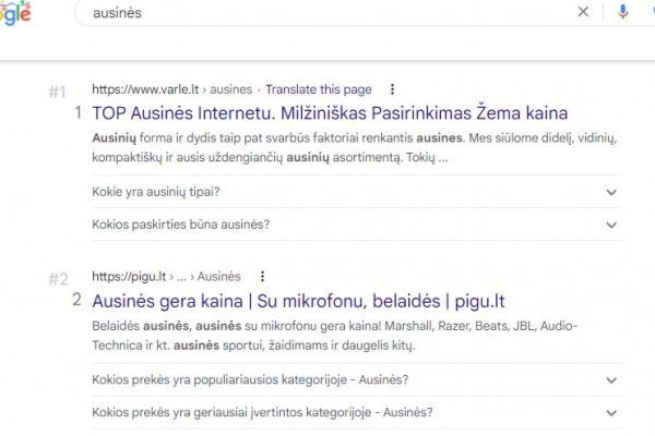 Struktūriniai duomenys ir mikro žymėjimas e-komercijoje: Kas tai ir kam yra naudojama?