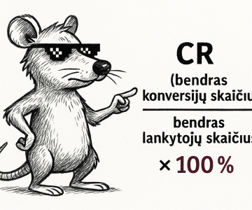 Kas yra konversijos rodiklis? Kaip jį apskaičiuoti?