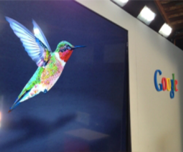 Google Hummingbird: didžiausias algoritmo atnaujinimas šiame tūkstantmetyje