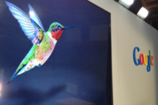 Google Hummingbird: didžiausias algoritmo atnaujinimas šiame tūkstantmetyje