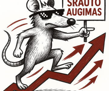 Gidas: kaip padidinti svetainės lankytojų srautą atliekant SEO?