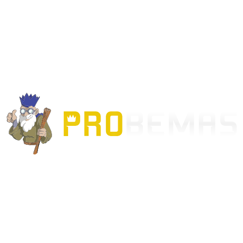 Probemas